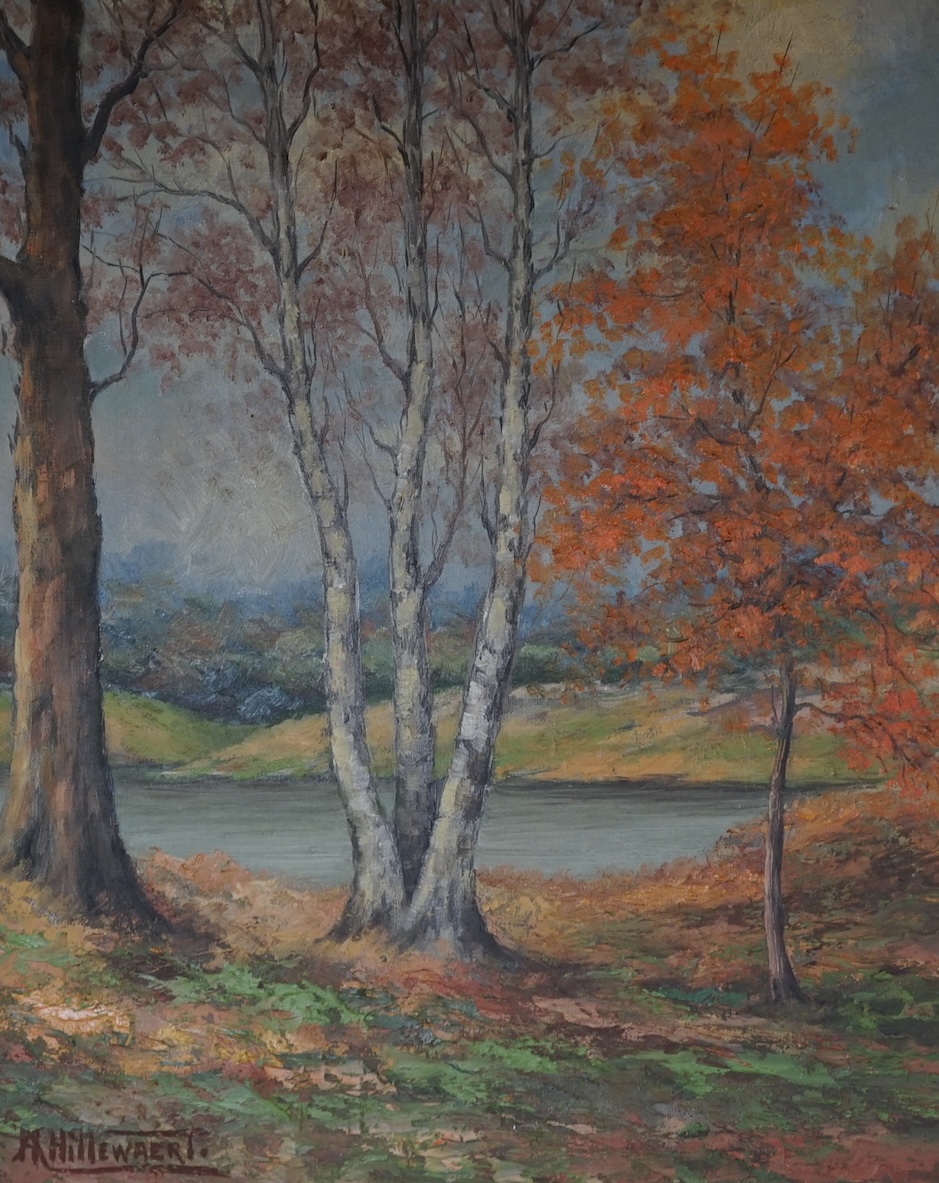 A. H. Hillewaert?, Impressionist oil on canvas, Autumnal wooded landscape, signed, 48 x 38cm. Condition - good, a little dirty